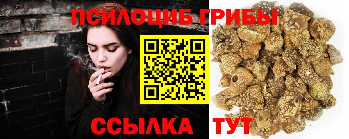 Галлюциногенные грибы мицелий  Галлюциногенные грибы MAGIC MUSHROOMS  Йошкар-Ола  Вход с VPN 